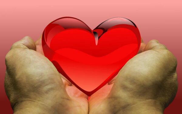 feeling, love, heart, donation, donate, gratitude, thank you, donation, donation, donation, donation, donation, donate, donate, donate, donate